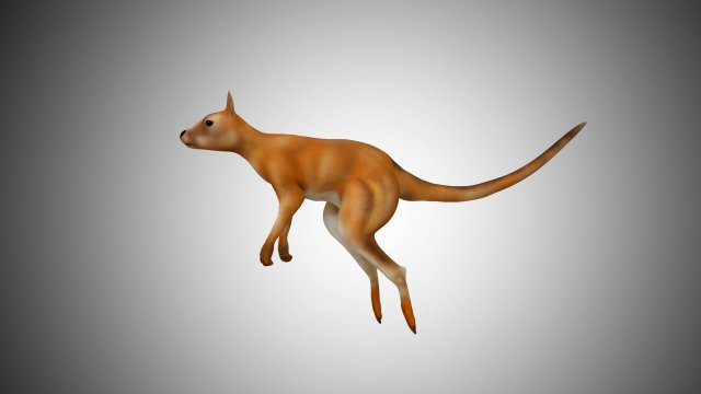 low poly kangaroo rigged Modello 3D .c4d .max .obj .3ds .fbx .stl .blend 