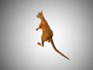 low poly kangaroo rigged Modello 3D