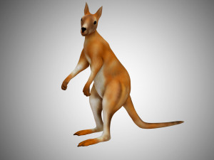 low poly kangaroo rigged Modello 3D
