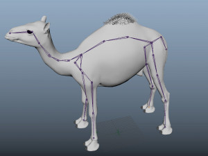 camel low poly rigged 3D Модель