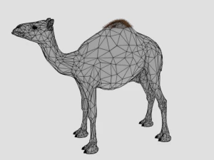 camel low poly rigged 3D Model