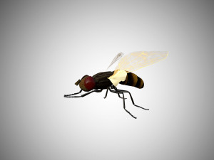 fly housefly horsefly low poly rigged 3Dモデル