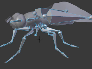 fly housefly horsefly low poly rigged 3D Model