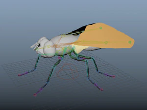 fly housefly horsefly low poly rigged 3D Model