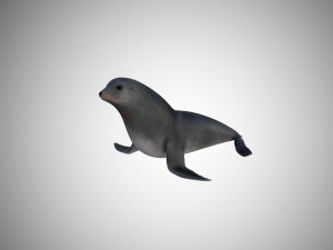 low poly rigged seal Modelo 3D