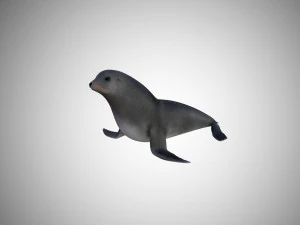 low poly rigged seal 3D Model
