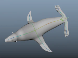 low poly rigged seal 3D Model