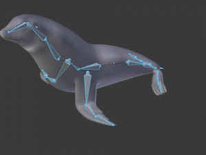 low poly rigged seal Modelo 3D