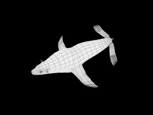 low poly rigged seal 3D Model
