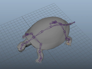 turtle low poly realistic rigged 3D मॉडल