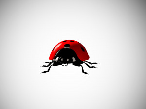 ladybug lady bird low poly rigged 3D Model