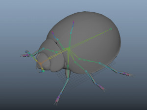 ladybug lady bird low poly rigged 3D Model