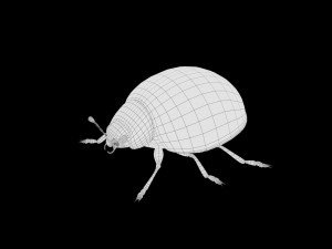 ladybug lady bird low poly rigged 3D Model
