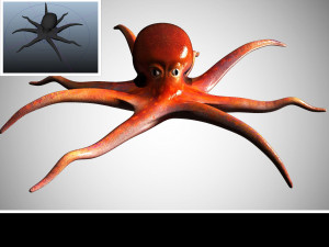 octopus rigged low poly 3D Model