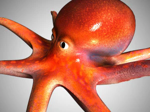 octopus rigged low poly 3D Model