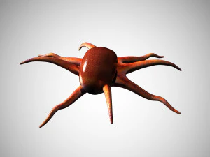 octopus rigged low poly 3D Model