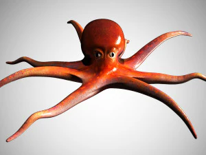 octopus rigged low poly 3D Model