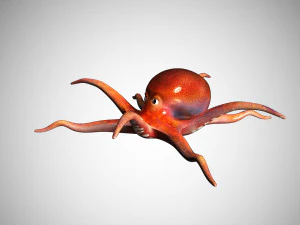 octopus rigged low poly 3D Model
