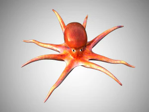 octopus rigged low poly 3D Model