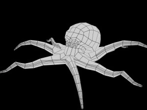 octopus rigged low poly 3D Model