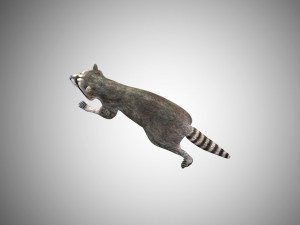 raccoon rigged low poly Model 3D