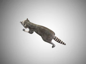raccoon rigged low poly 3D Model