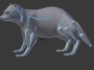 raccoon rigged low poly 3D Model