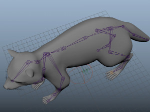 raccoon rigged low poly Model 3D
