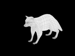 raccoon rigged low poly Model 3D