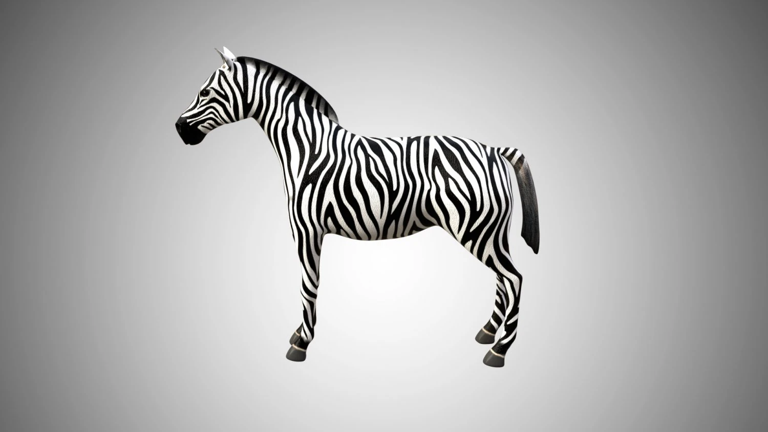 zebra low poly rigged 3D Model .c4d .max .obj .3ds .fbx .stl .blend 
