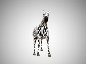 zebra low poly rigged 3D Model