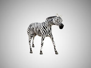 zebra low poly rigged 3D 模型