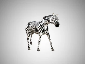 zebra low poly rigged 3D Model