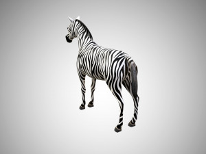 zebra low poly rigged 3D 模型
