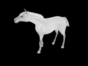 zebra low poly rigged 3D Model