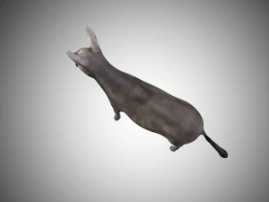 donkey rigged low poly 3D Model
