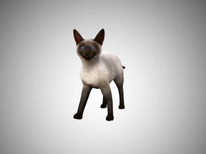 siamese cat low poly rigged 3D Model