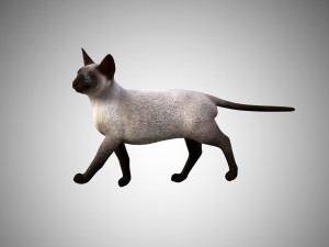 siamese cat low poly rigged Modelo 3D