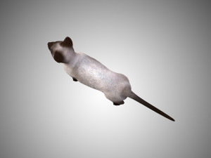 siamese cat low poly rigged Modelo 3D