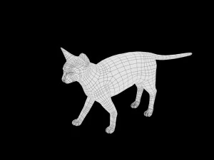 siamese cat low poly rigged 3D Model