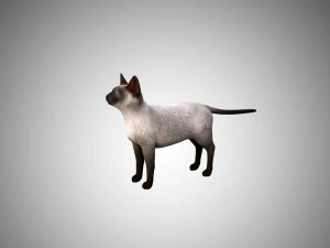 siamese cat low poly rigged 3D Model