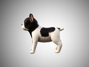 siamese cat low poly rigged Modelo 3D