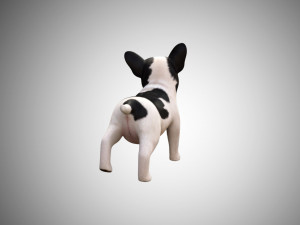 siamese cat low poly rigged Modelo 3D