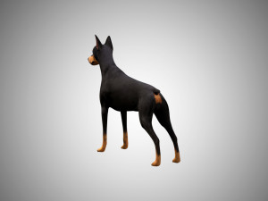3d realistic low poly rigged doberman 3Dモデル