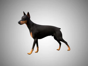 3d realistic low poly rigged doberman 3D Model
