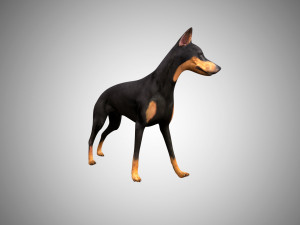 3d realistic low poly rigged doberman 3Dモデル
