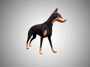 3d realistic low poly rigged doberman 3D Model