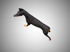 3d realistic low poly rigged doberman 3D Model
