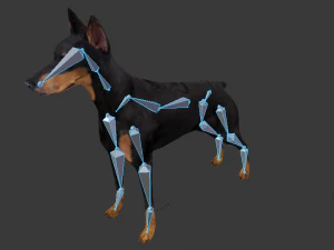 3d realistic low poly rigged doberman 3D Model