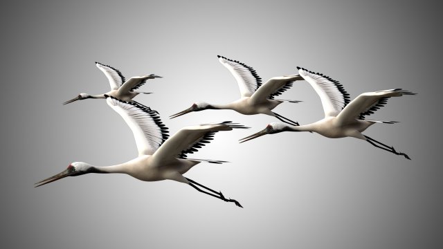 realistic low poly rigged crane 3D 모델 .c4d .max .obj .3ds .fbx .stl .blend 